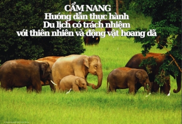 Cẩm nang hướng dẫn thực hành du lịch có trách nhiệm với thiên nhiên và động vật hoang dã