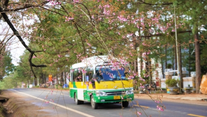 Tổng cục Du lịch yêu cầu các địa phương đảm bảo các hoạt động du lịch trong dịp nghỉ lễ 30/4 - 1/5
